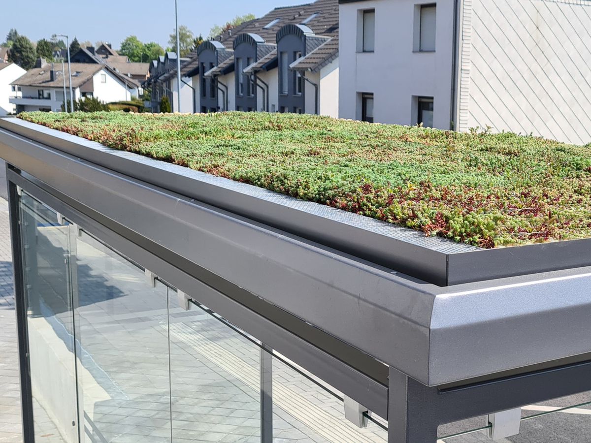 Eine graue Wartehalle mit Dachbegrünung